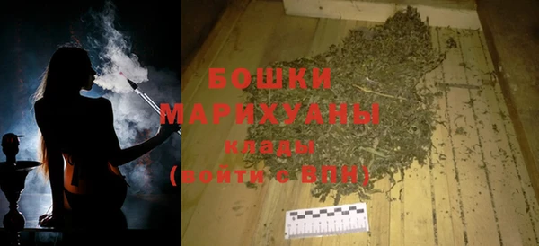 шишки Белоозёрский