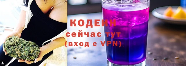 шишки Белоозёрский