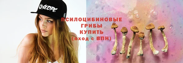 шишки Белоозёрский