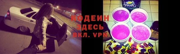 шишки Белоозёрский