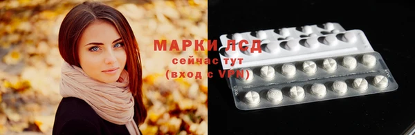 шишки Белоозёрский