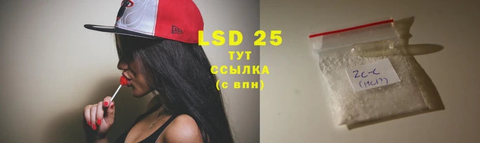 шишки Белоозёрский