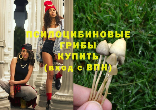 метамфетамин Белокуриха