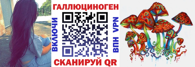 Псилоцибиновые грибы Cubensis Высоцк