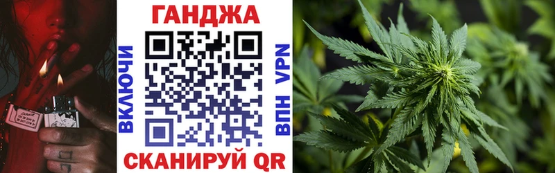 Шишки марихуана Amnesia  Высоцк 